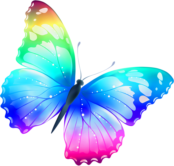 butterfly_PNG1041